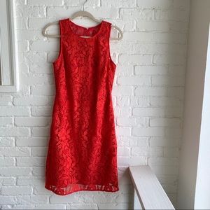 J. Crew Collection Lace Dress Sz 8